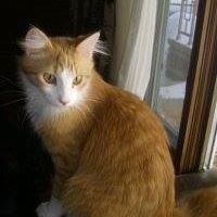 Nancy Rosenberg Photo 14
