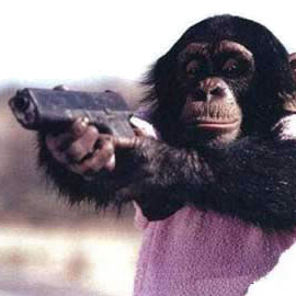 Tony Hackett Photo 10