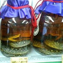 Eric Forbes Photo 40