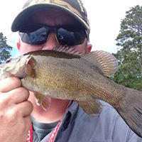 Sam Browning Photo 14