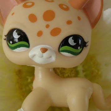 Juliet Young Photo 19