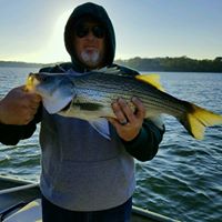 Marshall Adams Photo 29 Marshall Adams Photo 29