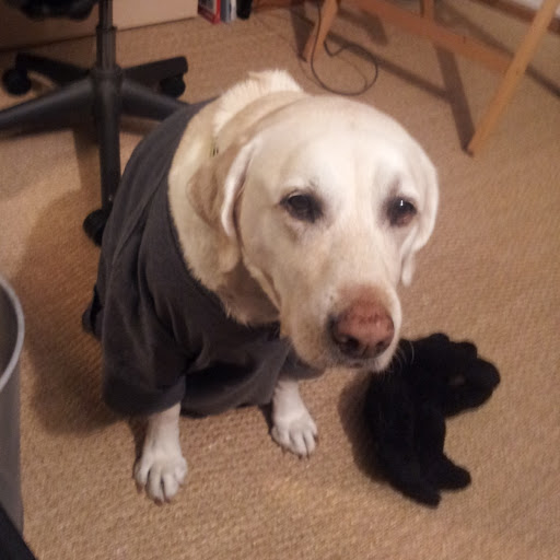 Dane Watson Photo 14