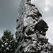 Shi Wang Photo 32