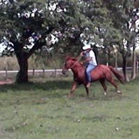 Alfredo Altamirano Photo 30