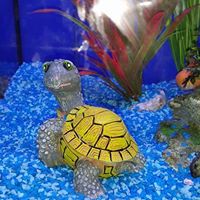 Kathryn Lang Photo 38