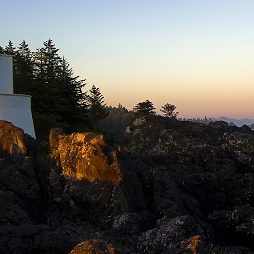 Kathleen Buckley Photo 30