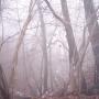 Richard Parks Photo 29