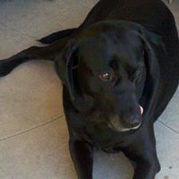 Kelley Busch Photo 1