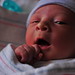 Joseph Perkins Photo 18