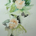 Cynthia Felix Photo 10