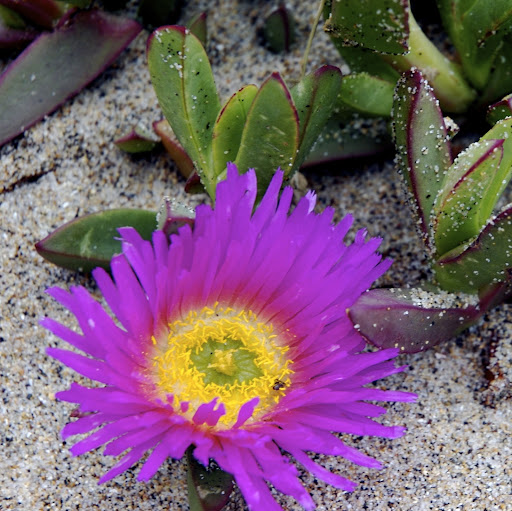 Katherine Wyatt Photo 18