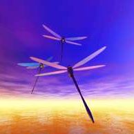 Deborah Cushing Photo 5