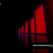 Ricardo Arellano Photo 11