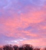 Judy Sharpe Photo 37