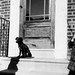 Kathleen Gill Photo 12