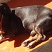 Judy Amado Photo 9