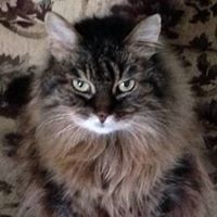 Marsha Barrett Photo 19