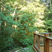 Lisa Ralph Photo 24