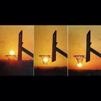 Susan Higginbotham Photo 26