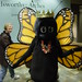 Frederick Bloom Photo 12