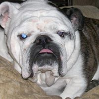 Emmitt Robinson Photo 8