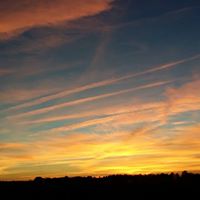 Janice Helms Photo 10