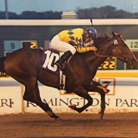 Cindy Monroy Photo 16