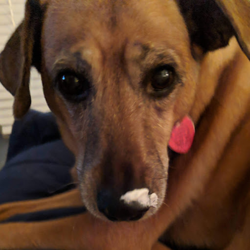 Donnie Parker Photo 8