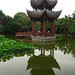 Hua Bai Photo 26