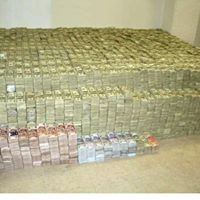 Daniel Farris Photo 34 Daniel Farris Photo 34