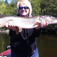 Susan Vandersteen Photo 1