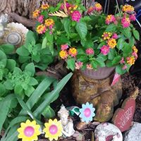 Debbie Ledbetter Photo 28