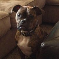 Jill Hackett Photo 20