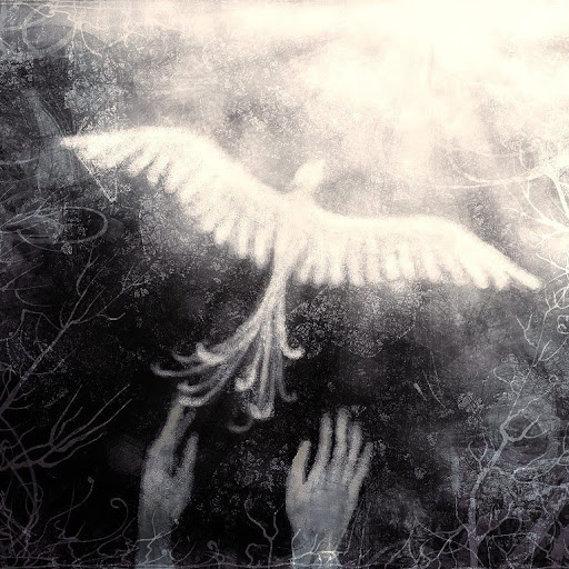 Norman Morrison Photo 34