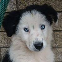 Steve Webber Photo 30 Steve Webber Photo 30