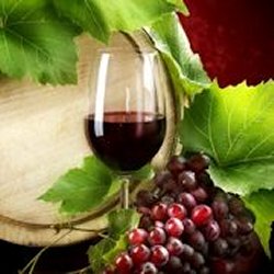 Chris Kaiser Photo 37