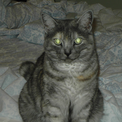 Sandy Walsh Photo 23