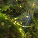 Sally Moss Photo 20
