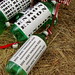 Cindy Crooks Photo 9
