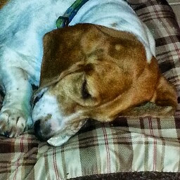 Frank Cross Photo 40