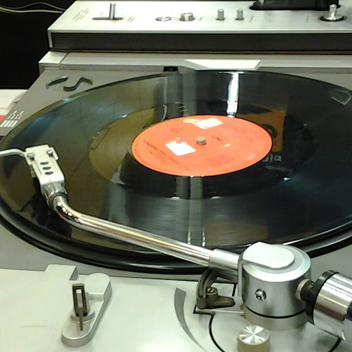 Soledad Vega Photo 5