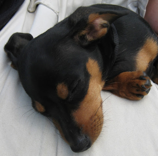 Brian Wilkinson Photo 11