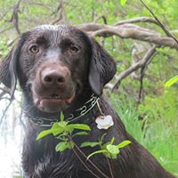 Penny Montgomery Photo 19