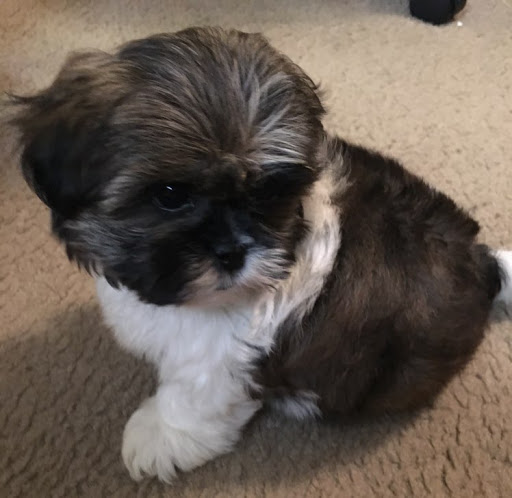 Isabel Ramos Photo 24