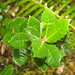 Francis Schrader Photo 11