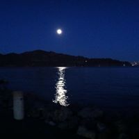 Marla Miller Photo 21