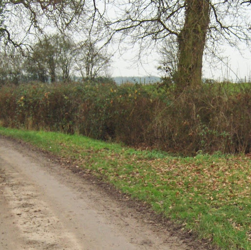 Joyce Barnes Photo 15