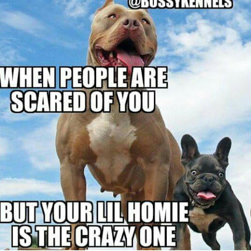 Billy Adams Photo 25