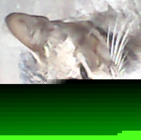 Bridget Ramirez Photo 12